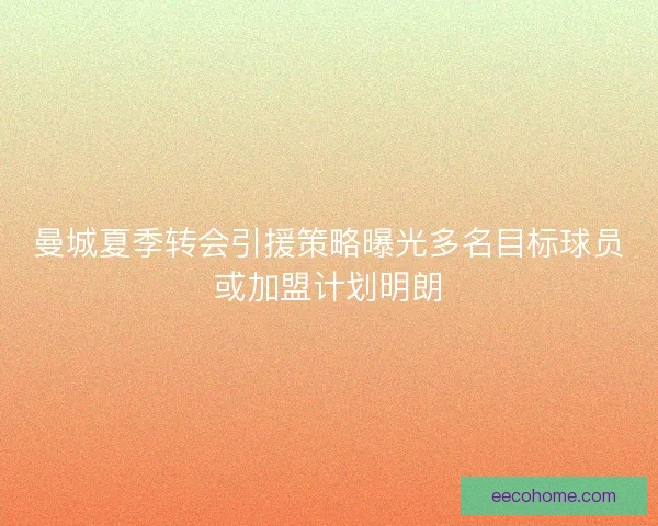 曼城夏季转会引援策略曝光多名目标球员或加盟计划明朗