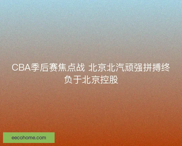 CBA季后赛焦点战 北京北汽顽强拼搏终负于北京控股