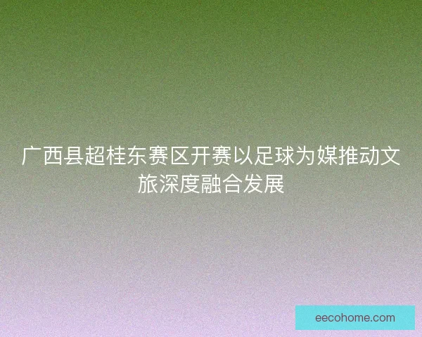 广西县超桂东赛区开赛以足球为媒推动文旅深度融合发展