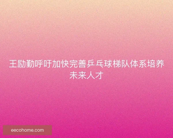 王励勤呼吁加快完善乒乓球梯队体系培养未来人才