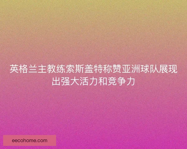 英格兰主教练索斯盖特称赞亚洲球队展现出强大活力和竞争力
