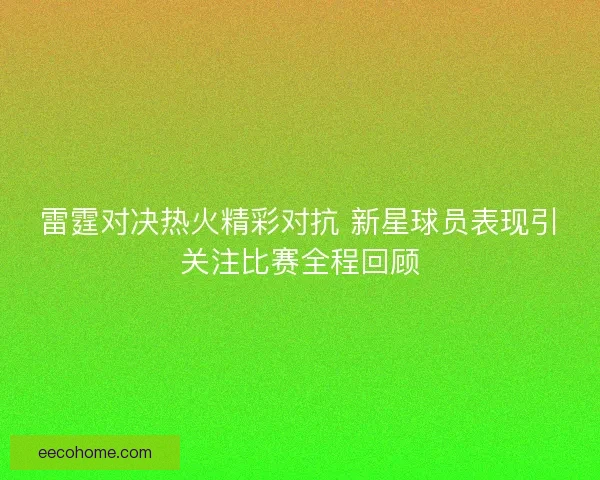 雷霆对决热火精彩对抗 新星球员表现引关注比赛全程回顾